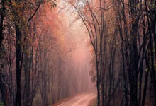 亚博体育：形势严峻！拜仁连伤两员主力，联赛仅分领跑且欧冠将战国米.