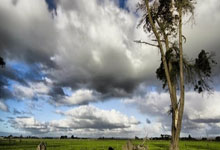 不是压着打吗印尼主帅克鲁伊维特一脸苦笑，队员也很懵逼.