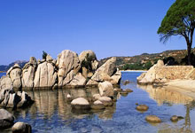 亚博体育：迪马：国米找替补前锋，有意卢卡、克尔斯托维奇以及卡斯特罗.